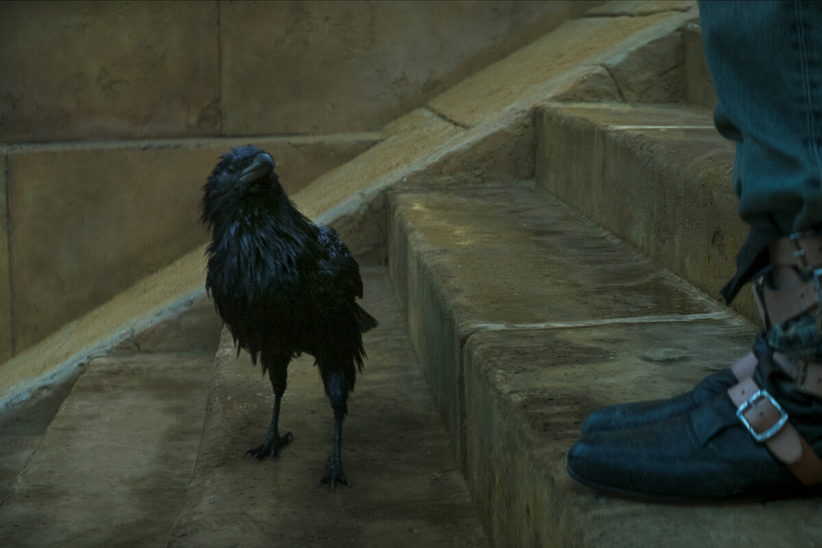 Matthew the Raven in ‘The Sandman’ Season 2.