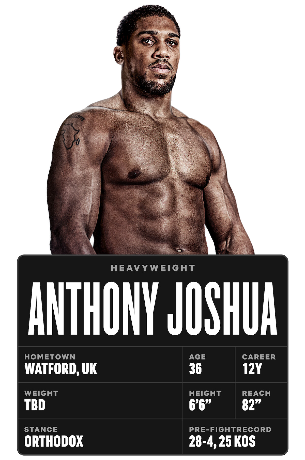 Anthony Joshua Size and Stats
