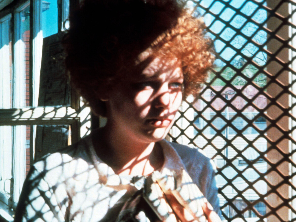 Inline 8: Let’s Have a Jane Campion Film Festival