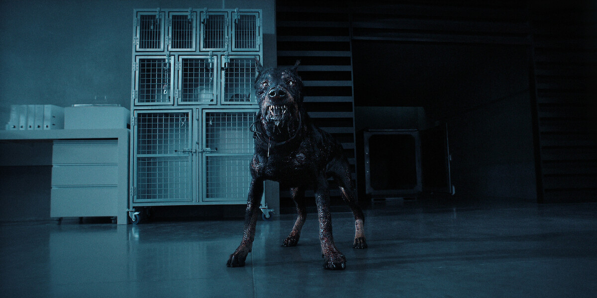 Resident Evil: Tamara Smart and Billie Agudong Break Down Zombie Dog Scene