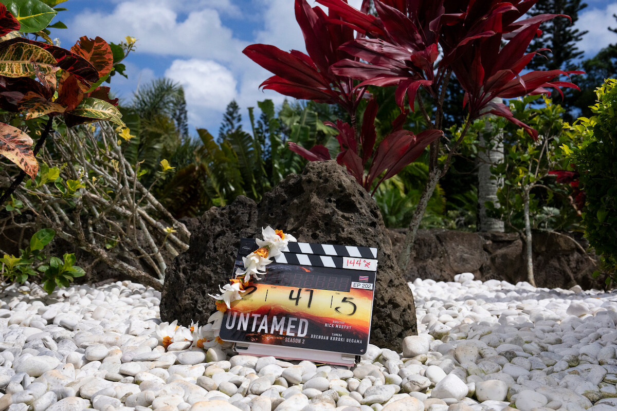 A film clapperboard labeled "Untamed" rests on a lava rock, surrounded by white pebbles, tropical plants, and bright red foliage in an outdoor garden setting under a blue sky.