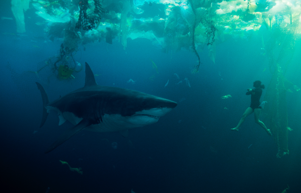 In an image from the thriller ‘Under Paris,’ a giant shark faces Bérénice Bejo as Sophia Assalas underwater.