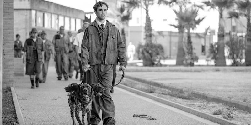 Black and white image of Misia Butler as Caeneus walking a three-headed dog in 'KAOS'