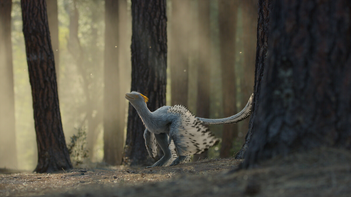 Anchiornis in ‘Life on Our Planet.’ 
