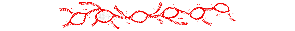 Divisor linfático