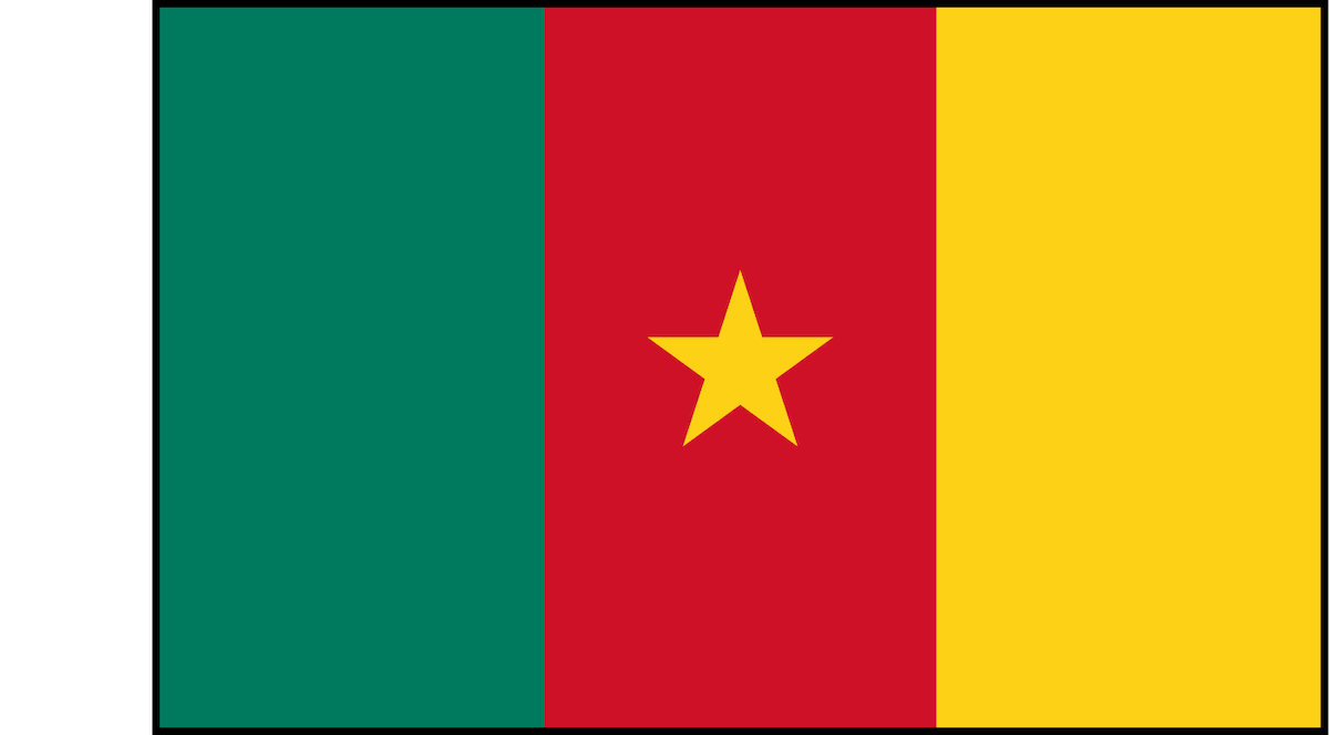 Flag of Cameroon with three vertical stripes of green, red, and yellow, and a yellow star centered on the red stripe. Simple background.