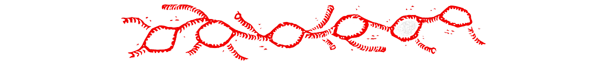Divisor linfático
