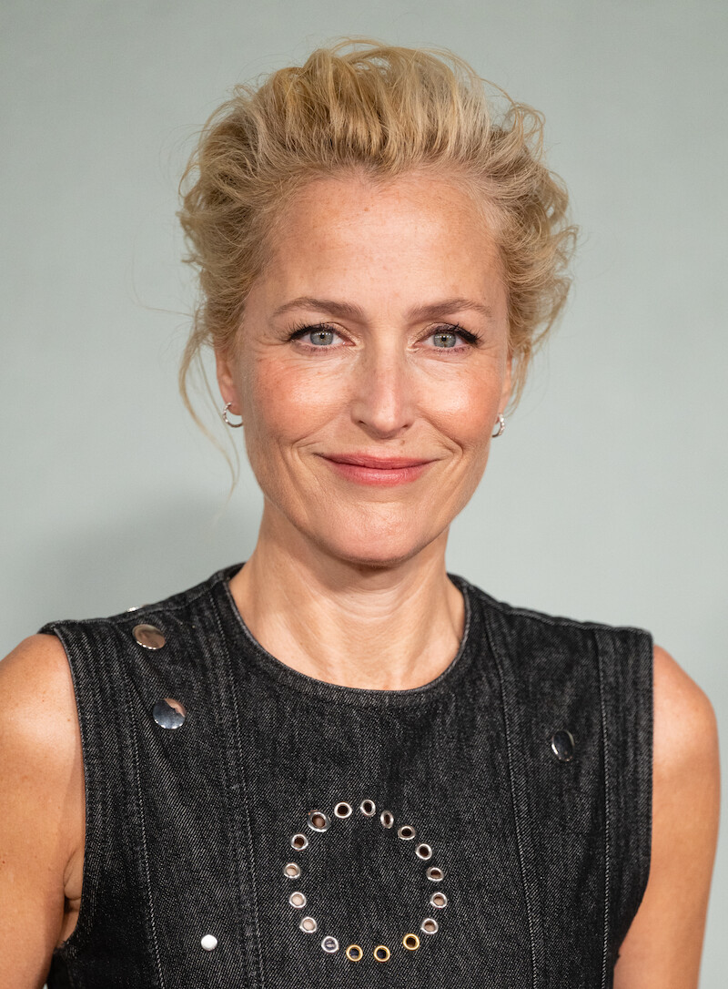 Gillian Anderson as Constance Van Ness in 'The Abandons.' 