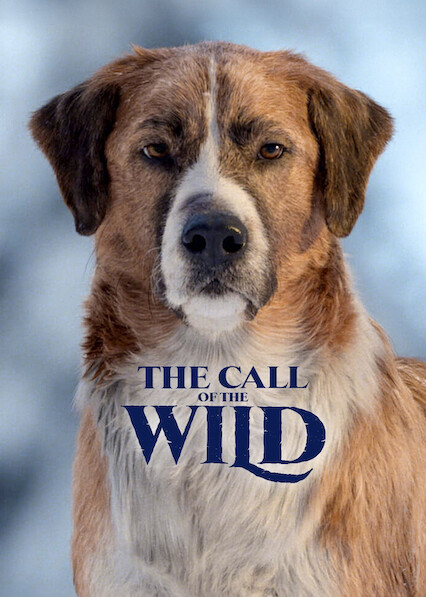 콜 오브 와일드