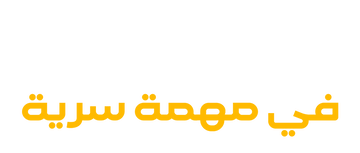 NETFLIX UNITED ARAB EMIRATES visual data 6