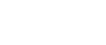 The Next 365 Days