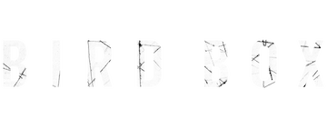 Bird Box