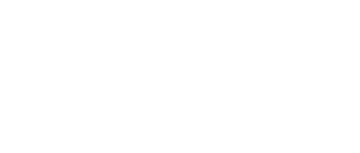 Inside the Mind of a Cat