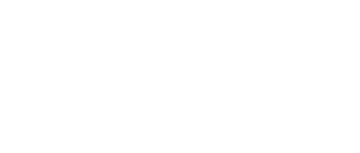 Undercover Miss Hong: Limited Series