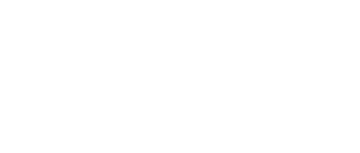 Lost Bullet