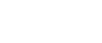 THE VILLAGE