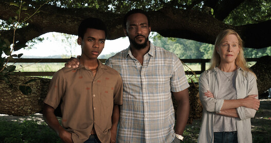 A family of three stand in front of a tree.