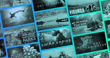 Take a Tour Through the World’s Wildest Places with These Nature Documentaries