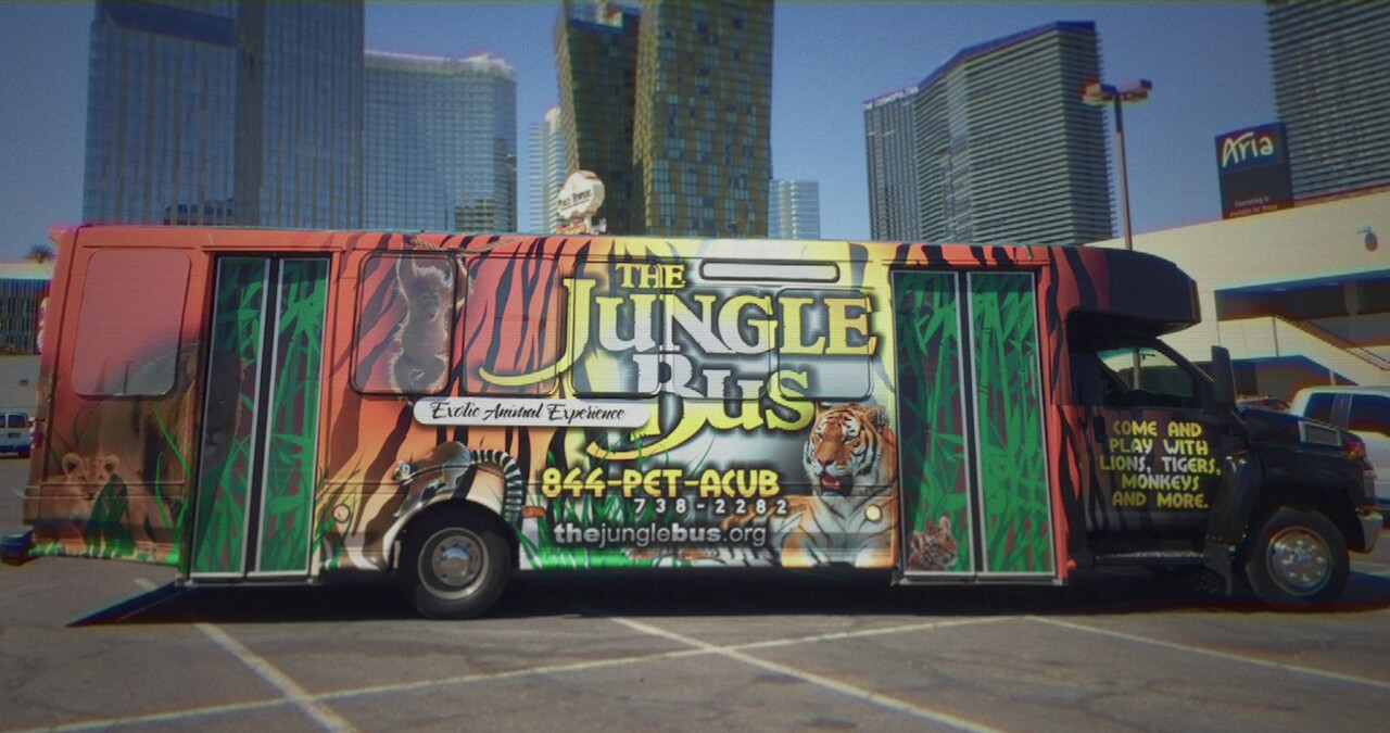 Why Are Some People Addicted to Exotic Animals?