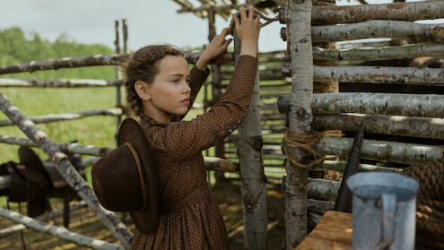 Young girl in a brown dress with a hat on her back stands by a rustic wooden fence outdoors, adjusting the wood. Green fields and sunlight are visible in the background, evoking a rural, historical farm setting.