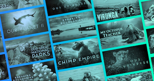 Take a Tour Through the World’s Wildest Places with These Nature Documentaries