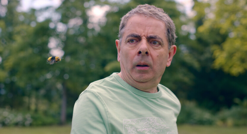 Are Bees Jerks? We Asked an Expert