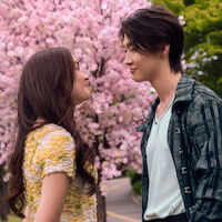 Two young people stand face to face, smiling at each other under a blooming pink cherry blossom tree in a park setting with green foliage in the background.