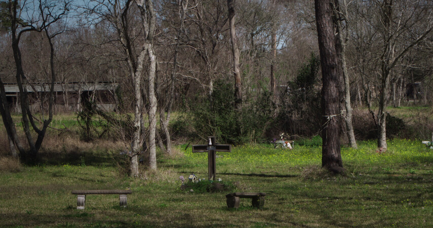 Texas feild