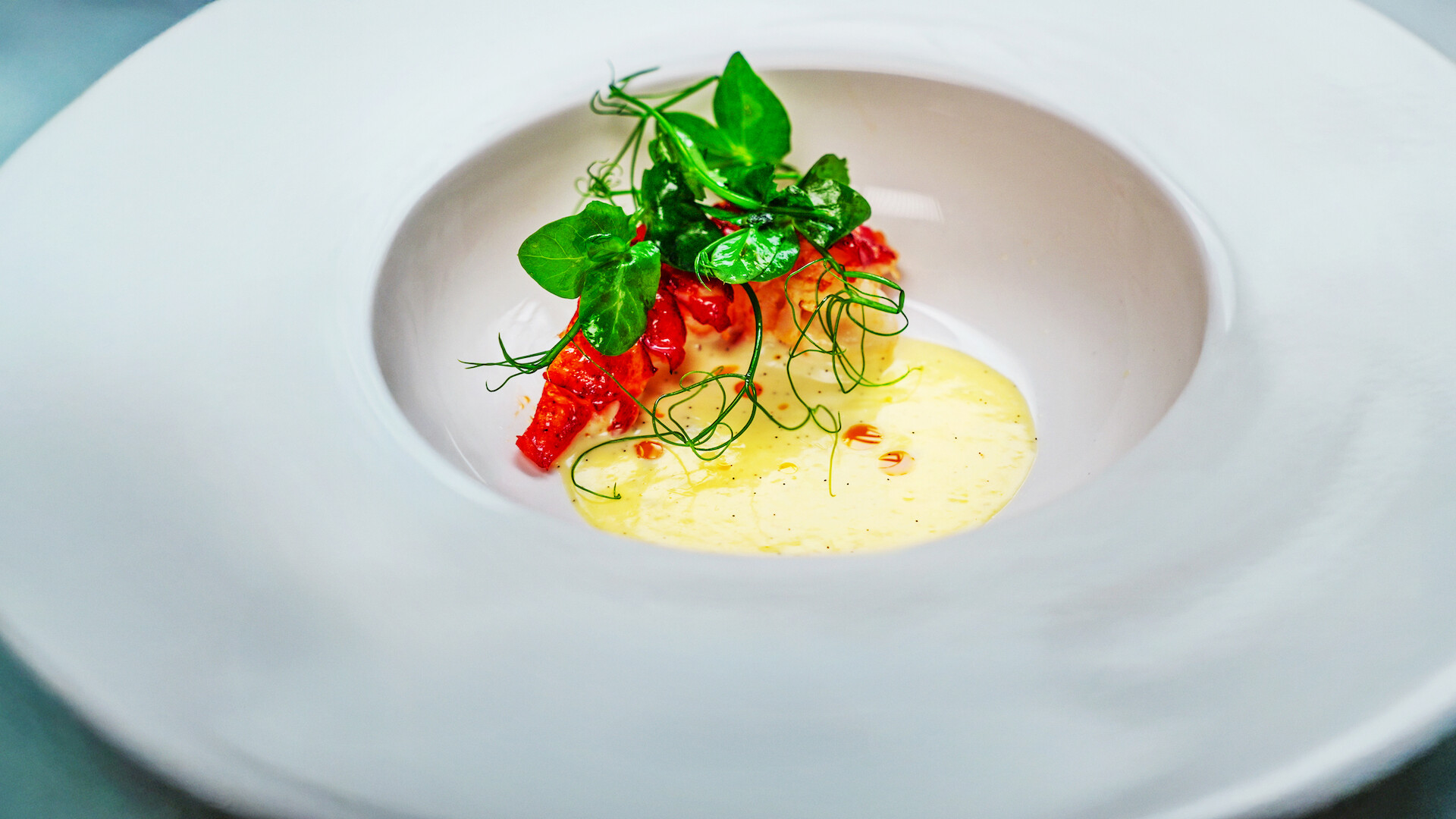 Next Gen Chef - A photo of a beautiful meal 