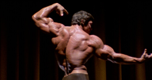 Arnold Schwarzenegger showing off his physique.