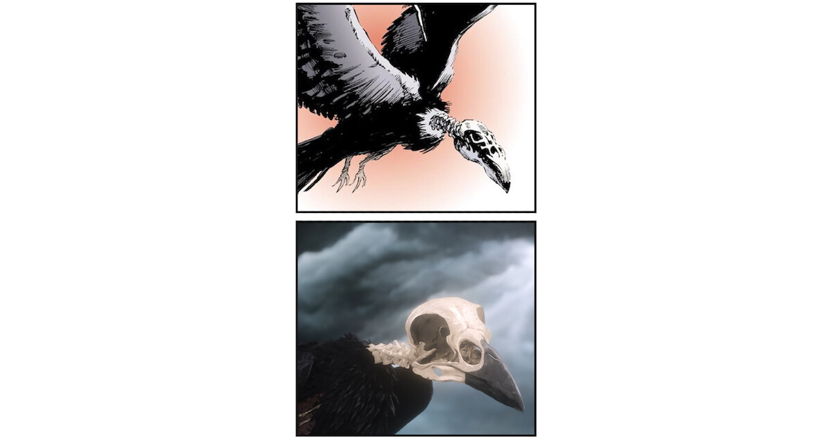 Observe How the Comics were Adapted for 'The Sandman'