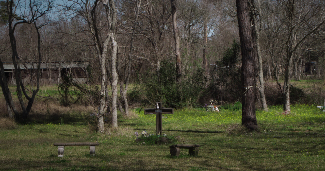 Texas feild