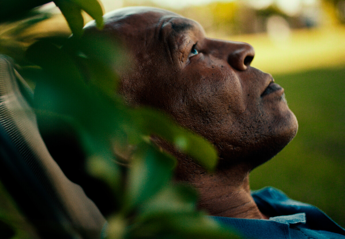 Close-up de um homem com uma tatuagem no rosto próximo a plantas em um jardim. Ele olha para cima, reflexivo