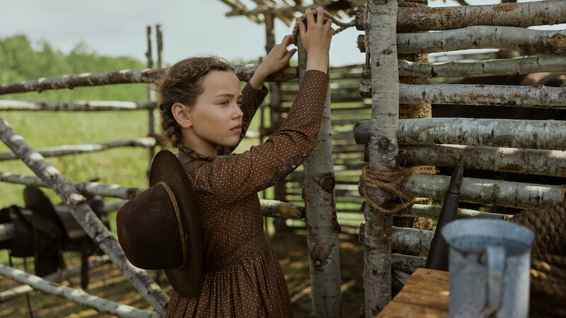 Young girl in a brown dress with a hat on her back stands by a rustic wooden fence outdoors, adjusting the wood. Green fields and sunlight are visible in the background, evoking a rural, historical farm setting.