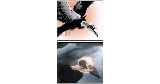 Observe How the Comics were Adapted for 'The Sandman'