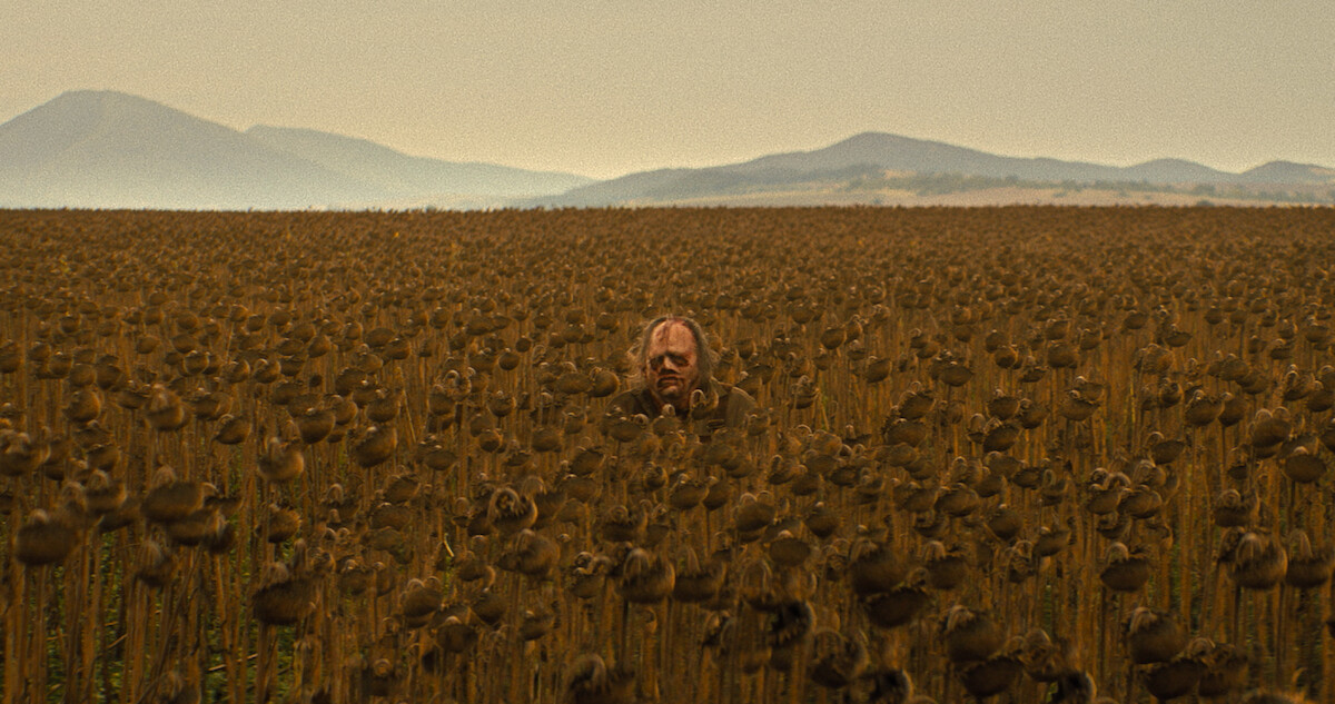 The Texas Chainsaw murderer stands hidden, barely perceptible in a field of corn