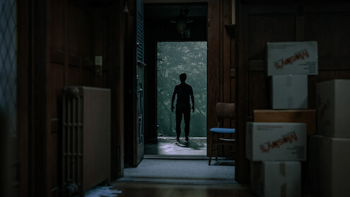 Silhouette of a person standing in a doorway, seen from inside a dimly lit room with moving boxes and wooden paneling, looking out toward a green, misty environment.