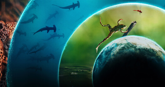 Scenes from 'Our Living World'