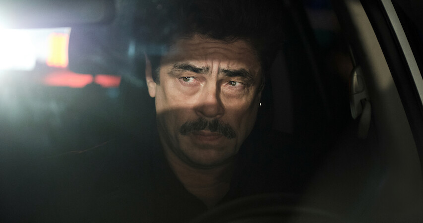 Benicio del Toro as Tom Nichols.