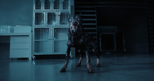Not All Dogs Are Friendly in a New ‘Resident Evil’ Clip