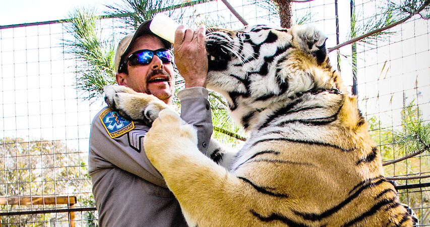 Hero Image: 5 Life Lessons You Learn After Working for a Tiger King