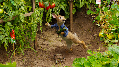 PeterRabbit_2018_ENG_ROW_Storyart.jpg