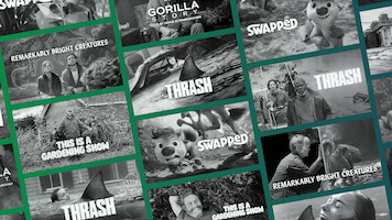 A graphic of Netflix shows about nature and animals