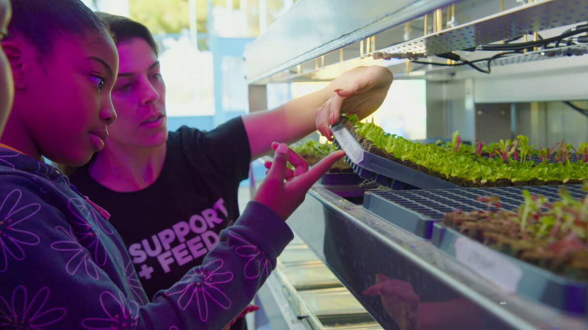 Two people examining plants.