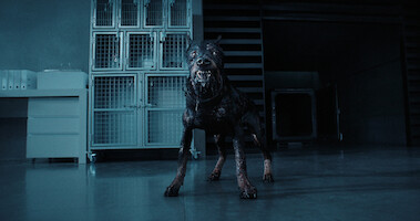 Not All Dogs Are Friendly in a New ‘Resident Evil’ Clip