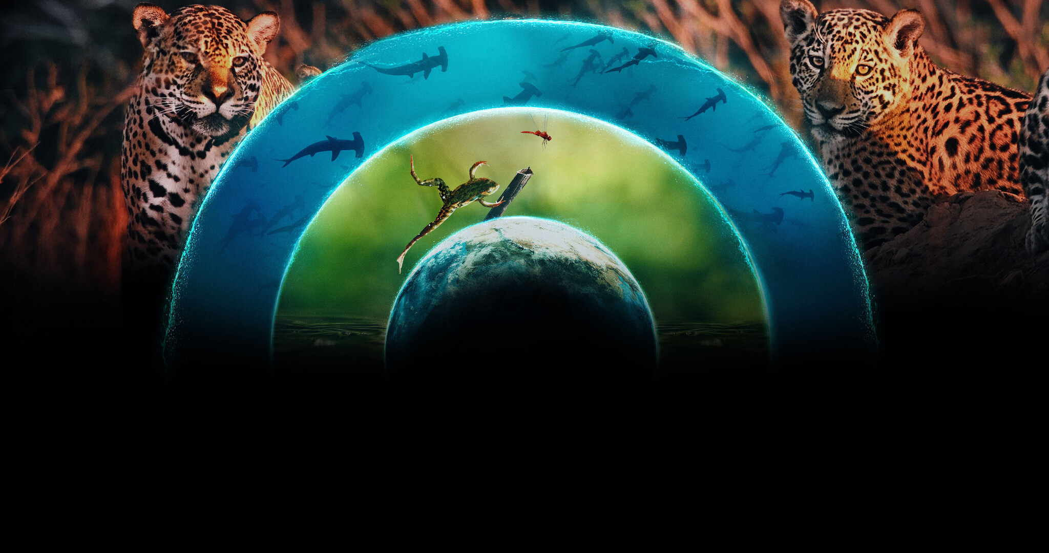Our Living World 