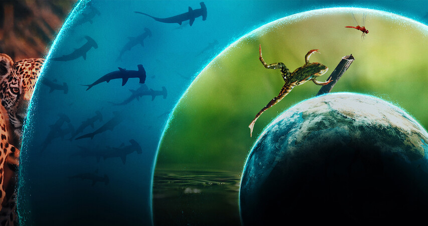 Scenes from 'Our Living World'