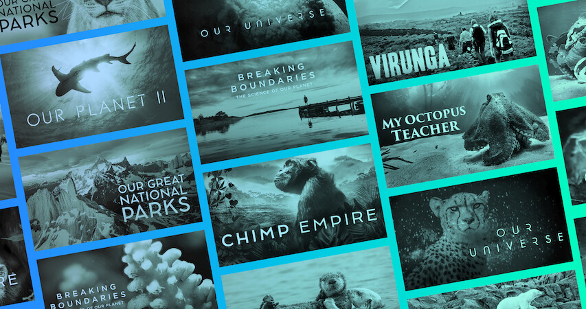Take a Tour Through the World’s Wildest Places with These Nature Documentaries