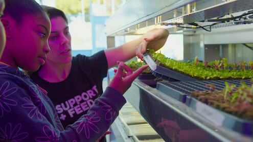 Two people examining plants.